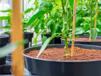 PLANTiT Kokosfiber