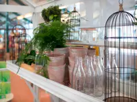 Såbed til Green Room drivhus