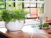 Stativ til plantebelysning Florabooster