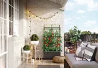 Dyrkningskasse Cityjungle med espalier