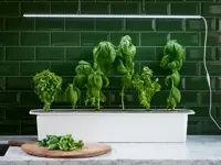 Hydroponisk dyrkning - startpakke