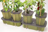 Duogrow selv-vandende Krukker