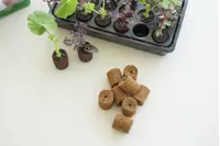 ROOT!T Dyrkningsbriketter Kokosfiber Refill 60-pak