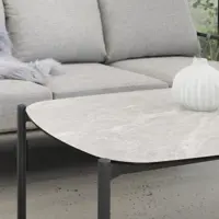 Dandelion Sofabord