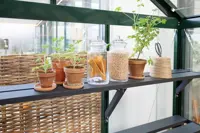 Plantehylde til Green Room-drivhuse
