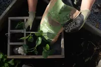 GROW Kredsløbsgødning