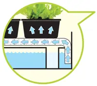 Plantebelysning Micro