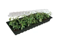 Minigro med 30 urtepotter