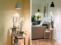 Plantearmatur til LED-pære