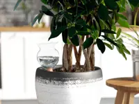 Selvvanding Hydro Bloom