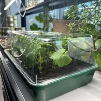 ROOT!T Minidrivhus komplet